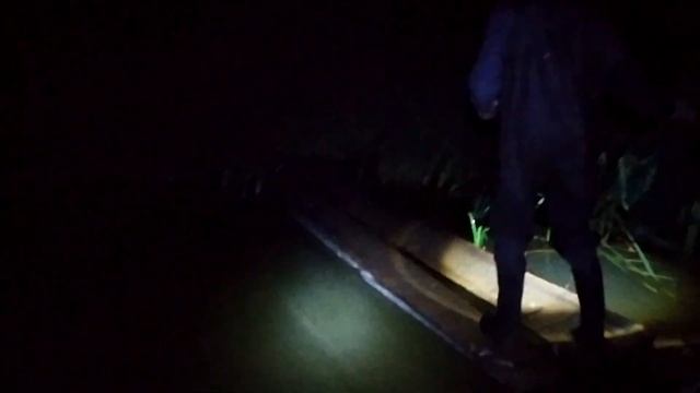 НочнаЯ поимка РакоВ. Испытание палки-раколовки прошло удачно. смотреть онлайн