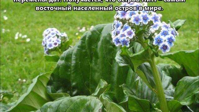 ZL7/JA1XGI Острова Чатем. С сайта dxnews.com смотреть онлайн