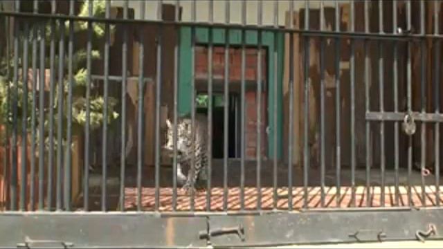 винтовые сваи в архангельске смотреть онлайн