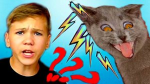 Моя кошка СОШЛА с УМА! Вы ТАКОГО ещё НЕ ВИДЕЛИ!