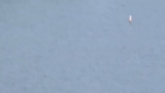 BACK TO THE FUTURE 2: PITBULL JR HOVERBOARD: THOUGHTS смотреть онлайн