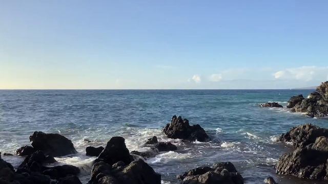 Paradise Has Been Found - Island Horizon Videos #60 смотреть онлайн