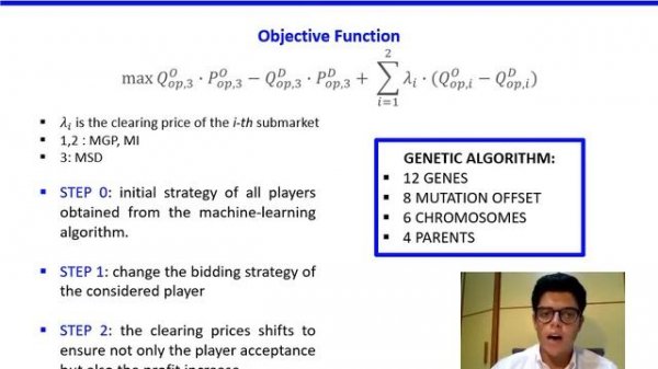 A Data-based Platform for Supporting Profit-driven Strategy in the Italian Spot Electricity Markets