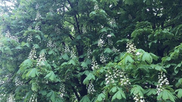 С добрым утром/хорошего настроения/моим друзьям