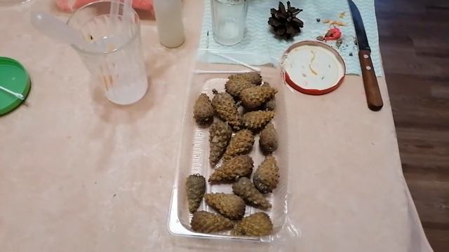 ТИГРЯТА ПОД КУПОЛОМ/ РУЧНАЯ РАБОТА/МЫЛОВАРЕНИЕ. смотреть онлайн