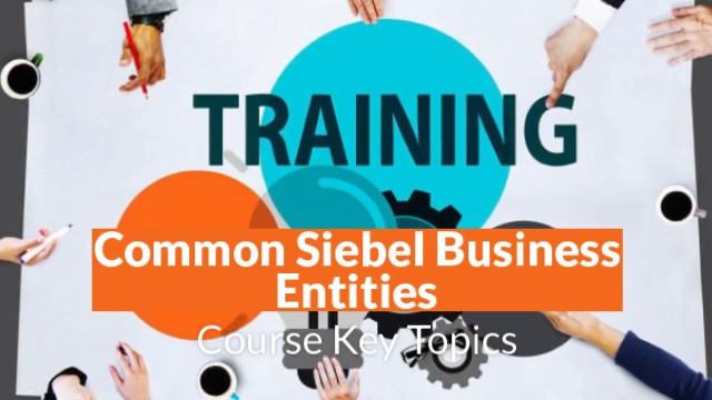 SIEBEL CRM Business Analyst 2 Months weekend class OR 5 Days Boot camp смотреть онлайн