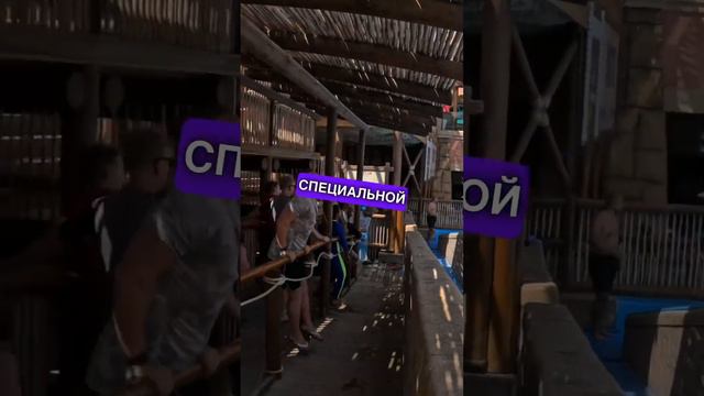 КАК мы прошли очень дешево в САМЫЙ большой аквапарк в мире - Атлантис в Дубае #атлантис #atlantis смотреть онлайн