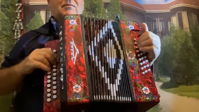 чтобы купить гармонь "ШУЙСКАЯ ЧАЙКА" NEU в Германии, звоните нам tel 0176 763 57953 смотреть онлайн