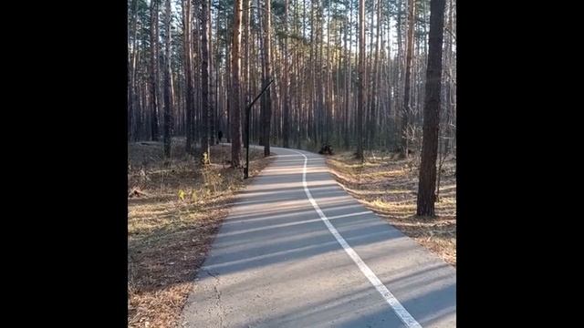 Прогулка по Тропе Здоровья 10.11.23. Открылся магазин Лаваш из Тандыра. смотреть онлайн