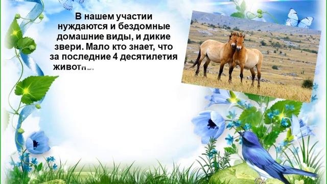 4 октября 2020 г. День защиты животных. ЯДБ смотреть онлайн