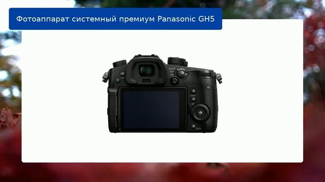 Фотоаппарат Panasonic GH5 обзор смотреть онлайн