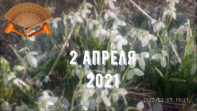 Грабли веерные Для любителей канала Грабли Лайф 02 04 21 смотреть онлайн