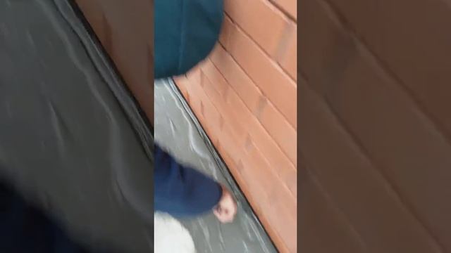 Ремонт отмостки смотреть онлайн