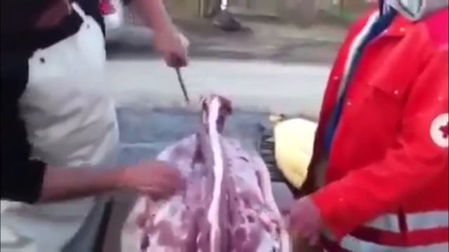 +18 I Венгер разделывает свиную тушу необычным способом I