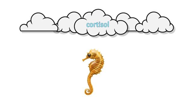 Don’t stress me out! I will forget what I already know смотреть онлайн