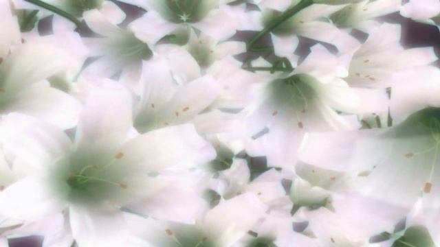 С ДНЕМ ЛЮБВИ И ВЕРНОСТИ! смотреть онлайн