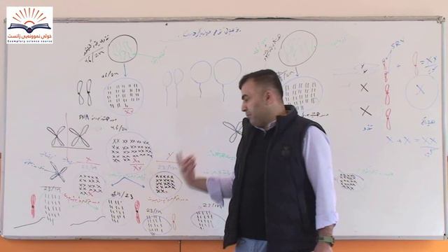 به ندى9 كه رتى1-9كروموسومه كان و بومانه وه لابه ره166- 167زيندەزانی پۆلی دوانزە12 ماموستا غالب смотреть онлайн
