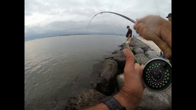 Tim Hits Fluke on Gulp Bucktail Jigs & MYSTERY Fish on the Fly Rod смотреть онлайн