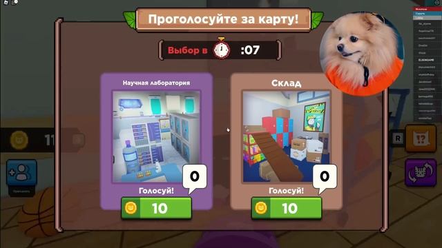 ПРЯТКИ КОТИКОВ В РОБЛОКС ! ВЕСЕЛЫЕ КОТЯТА ПРЯЧУТСЯ ОТ БОЛЬШОГО КОШАКА! смотреть онлайн