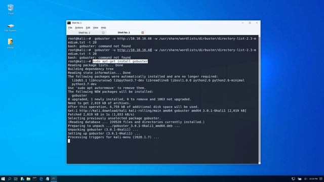 Gobuster command not found on Kali 2020 | How to Install and run Gobuster 2020 смотреть онлайн