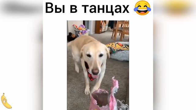 11 МИНУТ НОВЫХ ПРИКОЛОВ|ЛУЧШИЕ ПРИКОЛЫ|СМЕХ ДО СЛЕЗ|РЖАКА|ТИК ТОК| МАРТ 2021| #31 смотреть онлайн