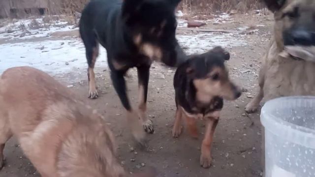 Дубль два/ нечаянно спалил морду лица смотреть онлайн