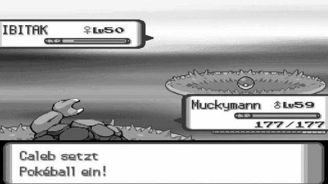 Let's Play POKÉMON PERL [Nuzlocke] - Part 113: Milleniumskampf gegen Günter смотреть онлайн
