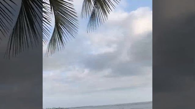 Самые знаменитые качели Гагры , видео инструкция как найти смотреть онлайн