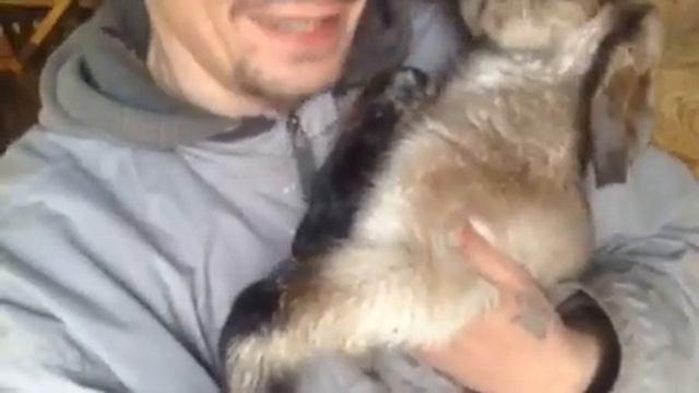 У НАС ПОПОЛНЕНИЕ))) смотреть онлайн