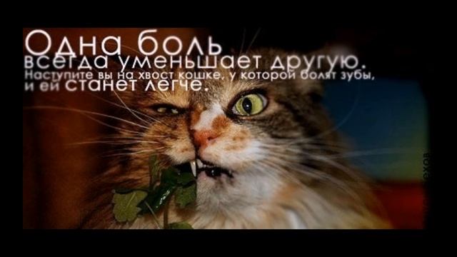 Красивые цитаты под музыку Выпуск 7 смотреть онлайн