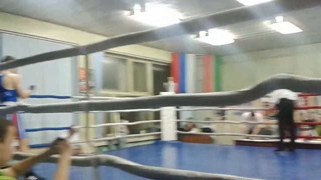 Кубок мэра по боксу 2014 смотреть онлайн