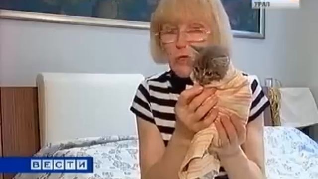 Маленького котенка замучили до полусмерти.flv смотреть онлайн