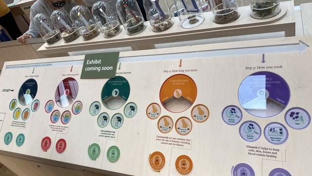 Vlog 126 - Потрясающе шикарное открытие научного центра в Королевском ботаническом саду.Не пропусти смотреть онлайн