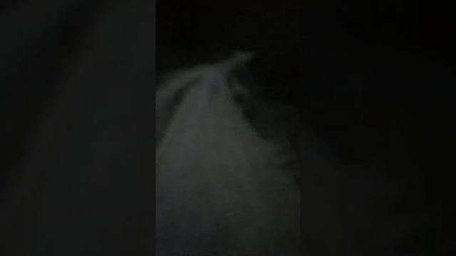 Тарки 2018 смотреть онлайн