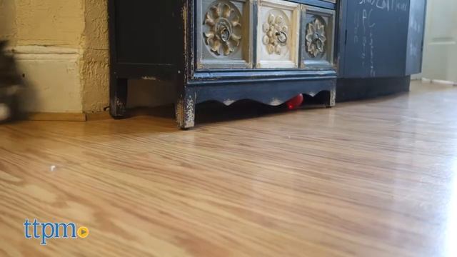 Magic LED-Ball from PetPals смотреть онлайн