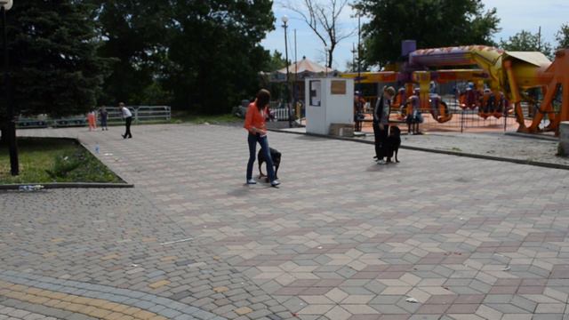 Показательные выступления в Курске смотреть онлайн