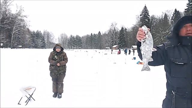 Обзор с верхнего водоёма. Клёвое место, Лосиный остров. смотреть онлайн