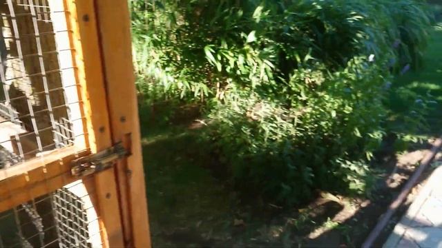 ток Евпатория смотреть онлайн