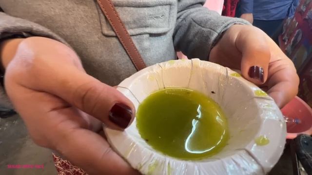 AGRA tourist places - Taj Mahal, Agra Fort, original Petha, Sadar Bazar Street Food *complete guide смотреть онлайн