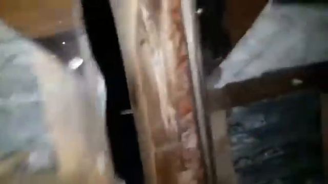 Волки в деревне смотреть онлайн