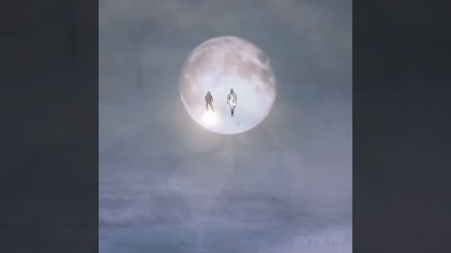 КИТ & ПТИЦА смотреть онлайн
