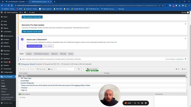 Tutorial Loco Translate Pro Wordpress смотреть онлайн