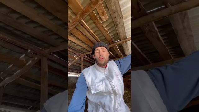 Бартер по деревенский смотреть онлайн