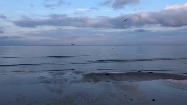 Балтийский пляж смотреть онлайн