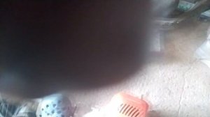 почему не заводится триммер искра есть