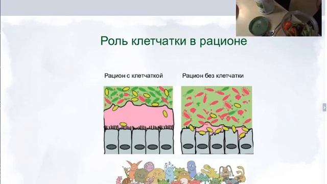 Ваши здоровые завтраки с Nutrilite и iCook смотреть онлайн