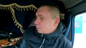 Деловые линии  Заработок за 5 дней