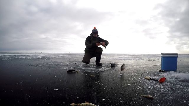 Чудское озеро. Ловля окуня на блитку на озере. Зимняя рыбалка сезон 2017 Окунь. смотреть онлайн