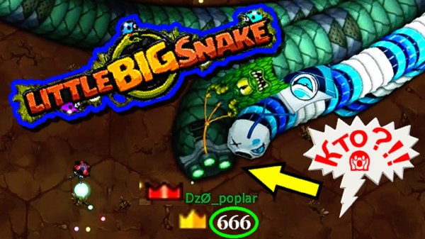 ???little BIG snake?ИНТРИГА?