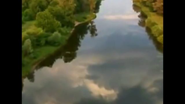 Cover на песню "Птица" смотреть онлайн